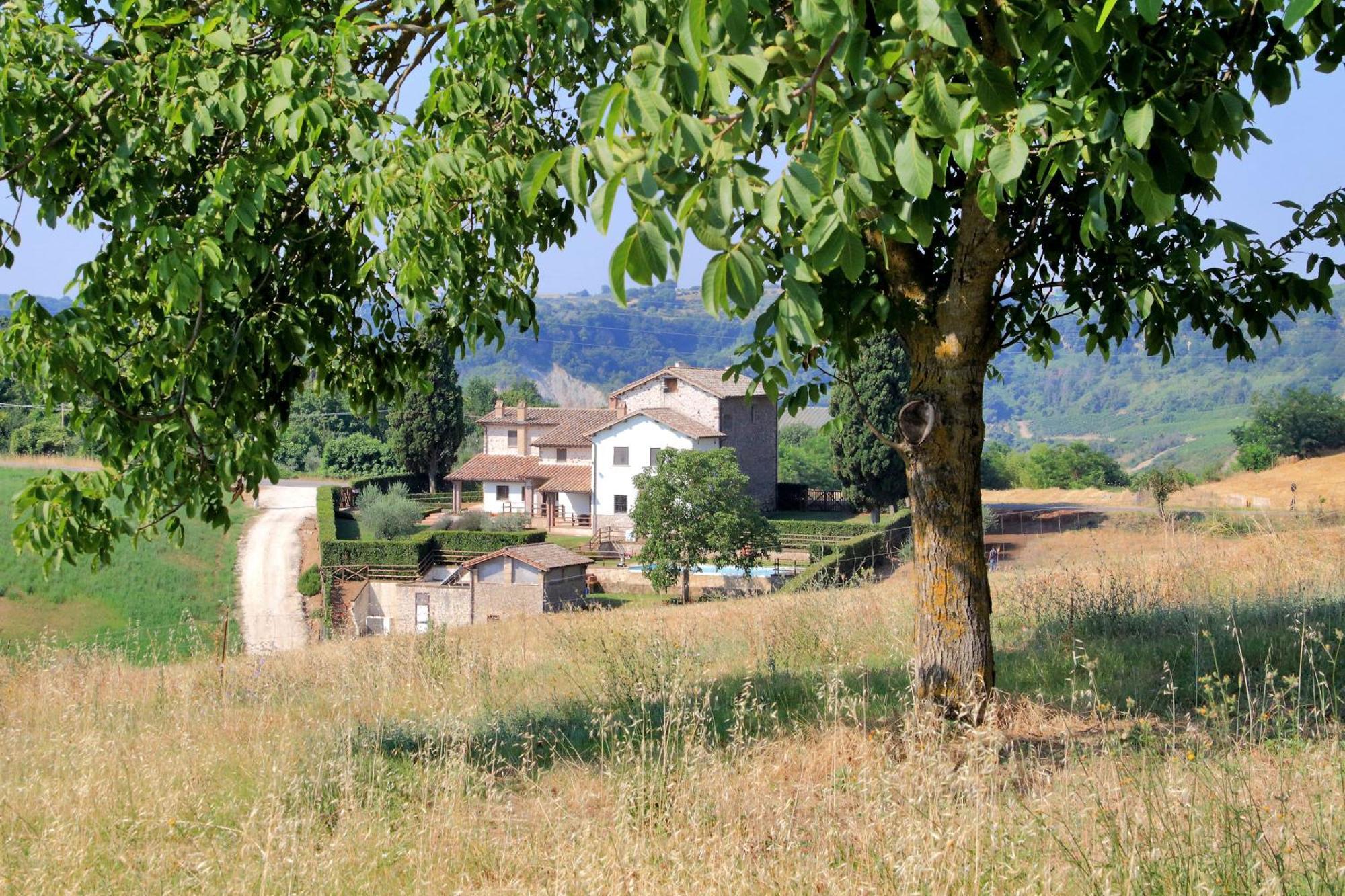 Orvieto Country House Castiglione In Teverina Luaran gambar