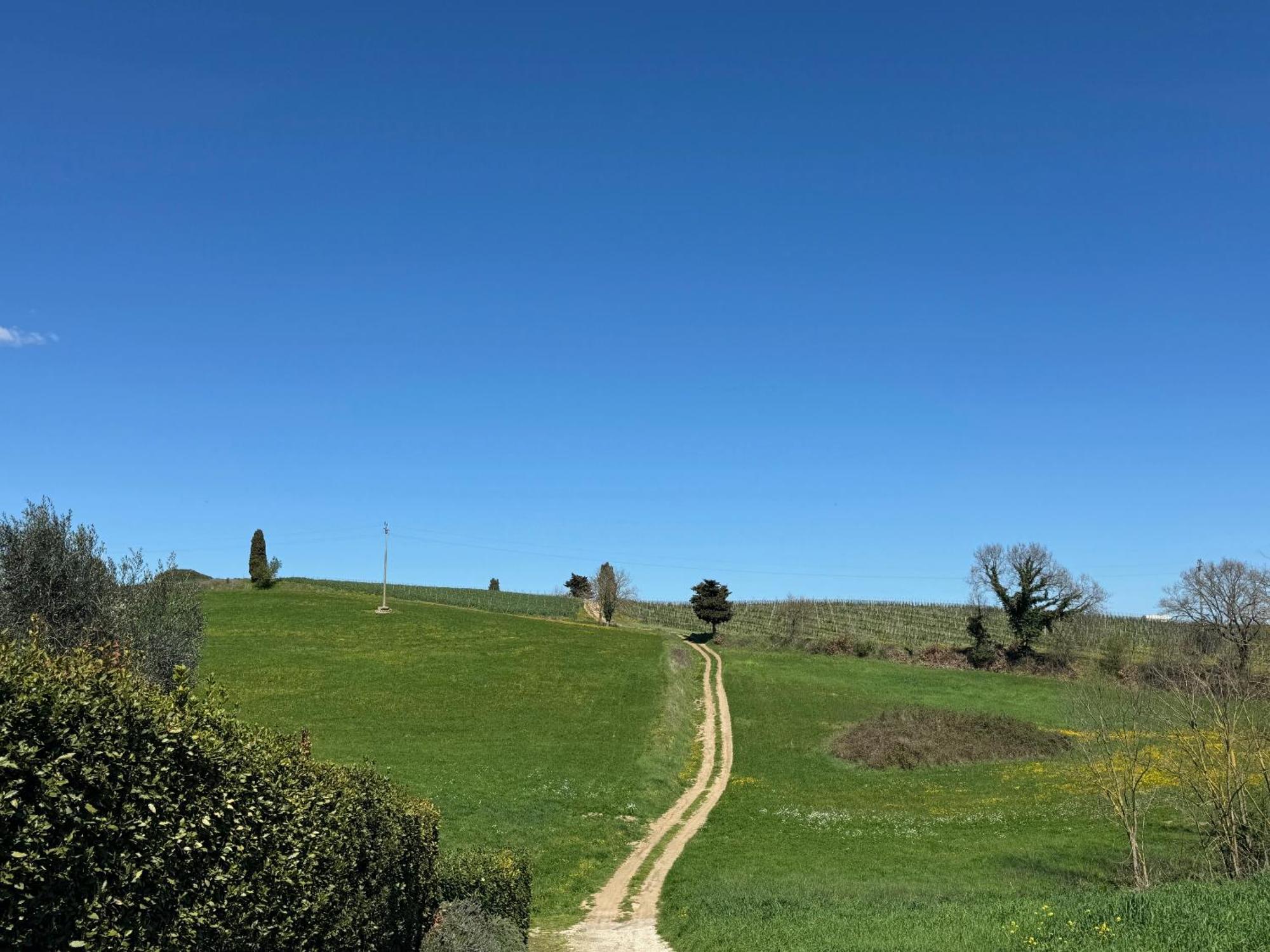 Orvieto Country House Castiglione In Teverina Luaran gambar