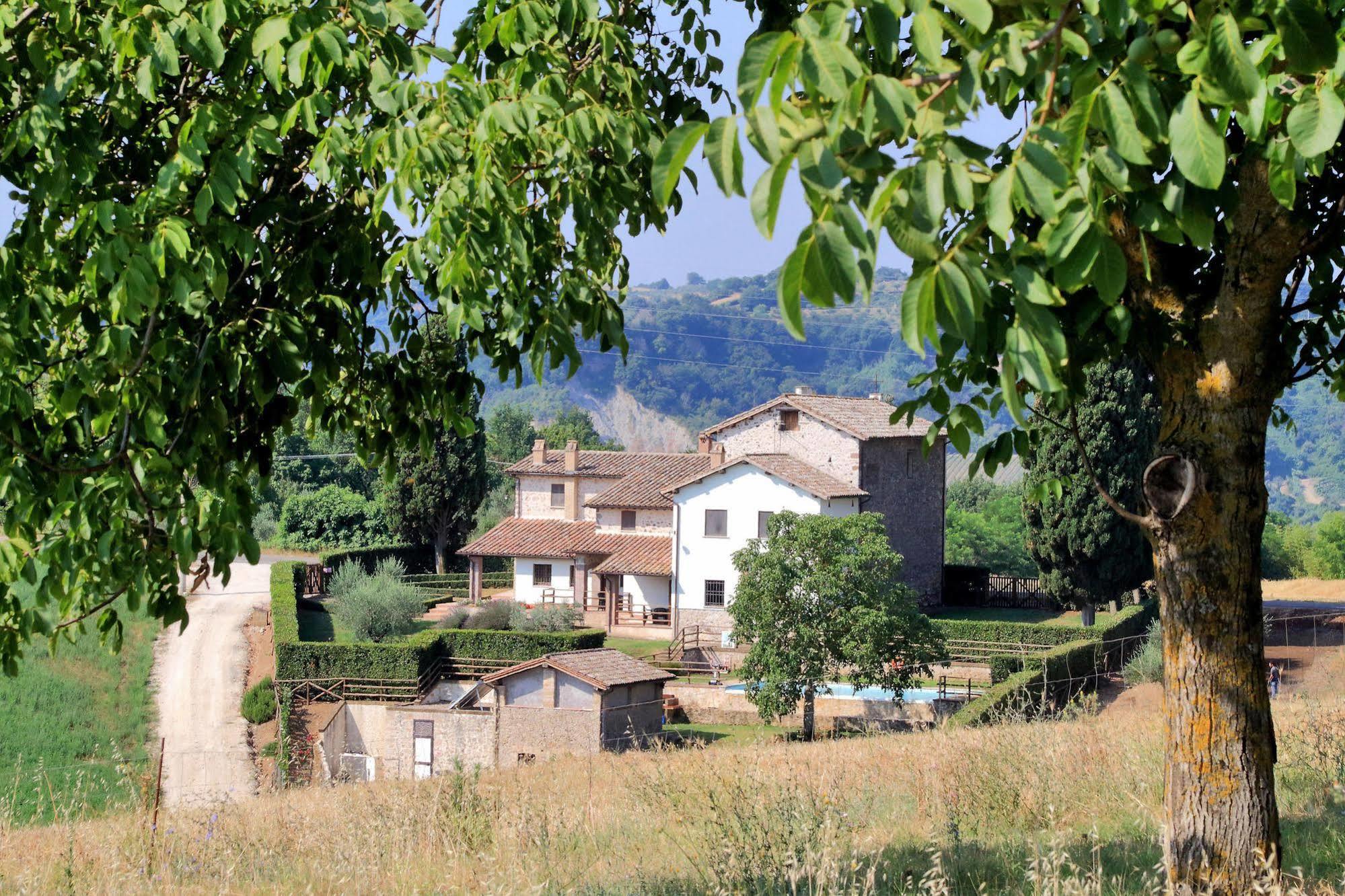 Orvieto Country House Castiglione In Teverina Luaran gambar